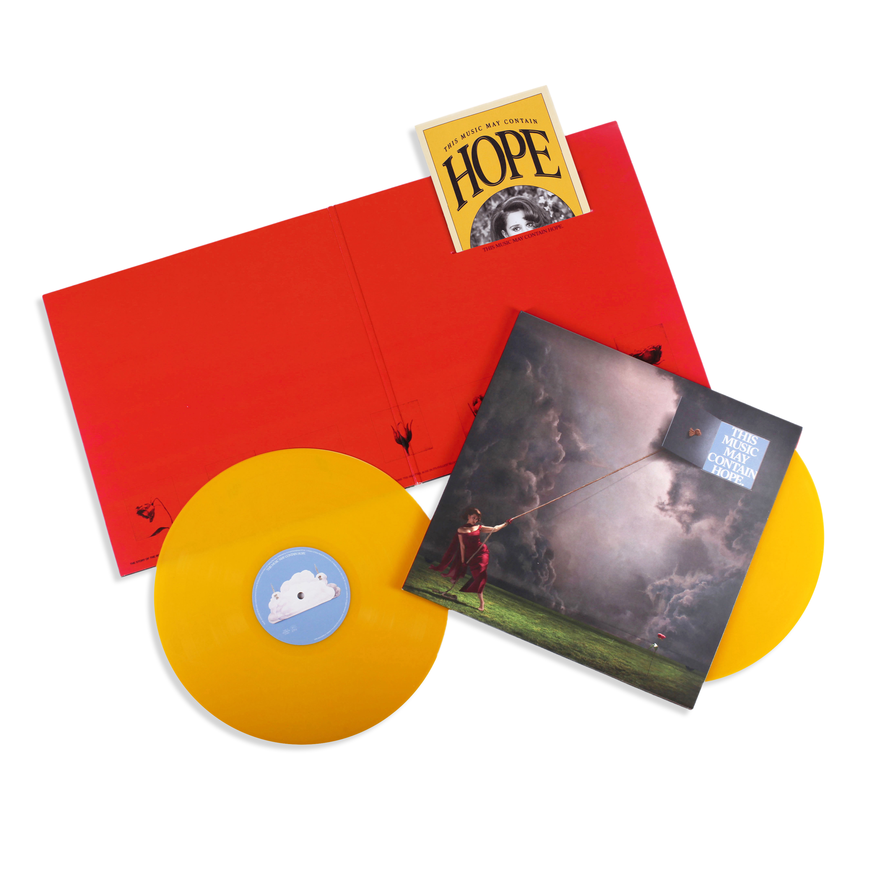 This Music May Contain Hope | Double Vinyl | Raye US | Official Store