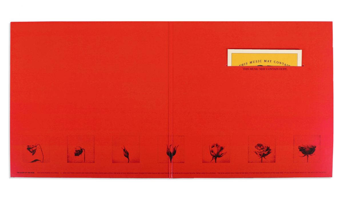 This Music May Contain Hope | Double Vinyl | Raye US | Official Store This Music May Contain Hope | Double Vinyl | Raye US | Official Store
